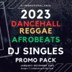 2023 Dancehall Reggae and Afrobeat Singles DJ Pack