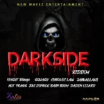 Darkside Riddim – New Waves Entertainment