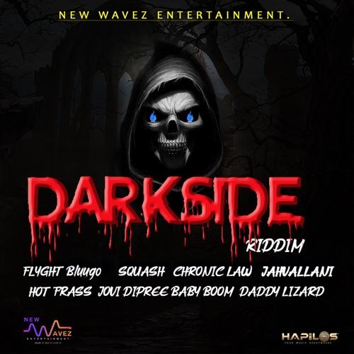 darkside riddim - new waves entertainment