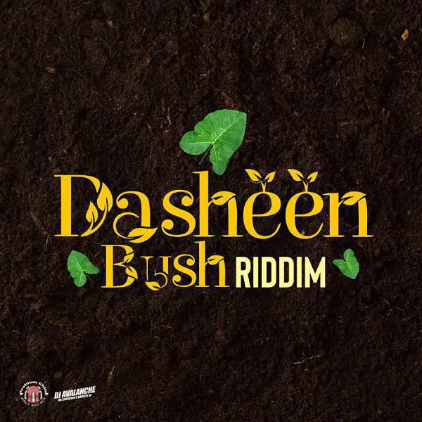 Dasheen Bush Riddim - Problematic Media