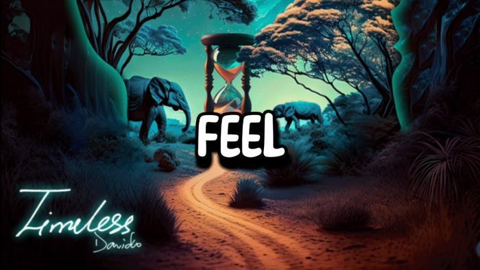 davido feel mp3 lyrics