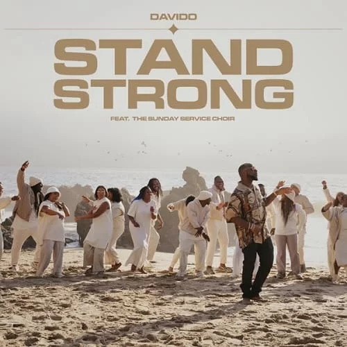 davido - stand strong ft. the samples