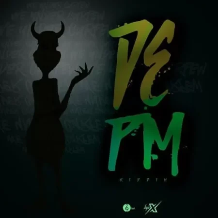 de pm riddim - back ah yard records