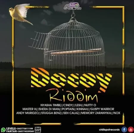 Decoy Riddim – Chillspot Recordz decoy riddim (zimdancehall) - chillspot recordz