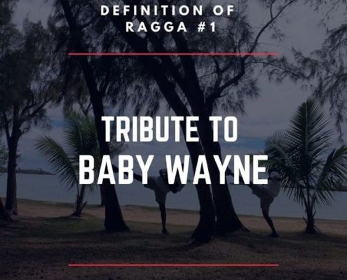Definition Of Ragga Baby Wayne