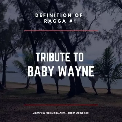 definition of ragga vol1 - tribute to baby wayne