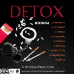 Detox Riddim (2022) – Cross Borderz Entertainment