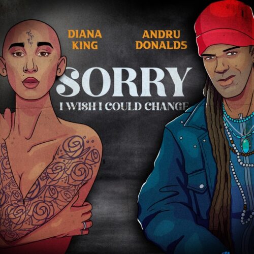 diana-king-ft-andru-donalds-sorry-i-wish-i-could-change