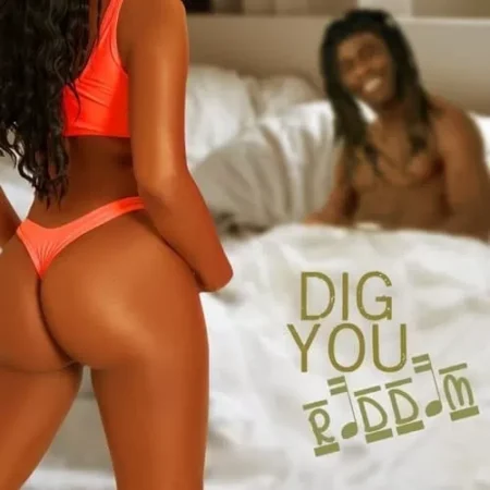 dig you riddim - stingray records