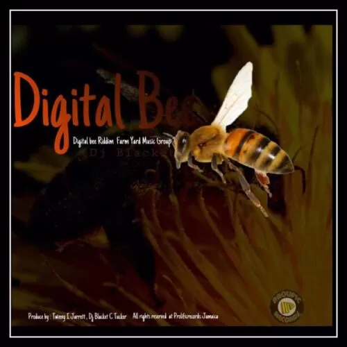 digital b riddim - dj blacket music