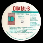 Digital-b Selections Vol.1 – Digital-b