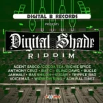 Digital Shade Riddim – Digital B Records