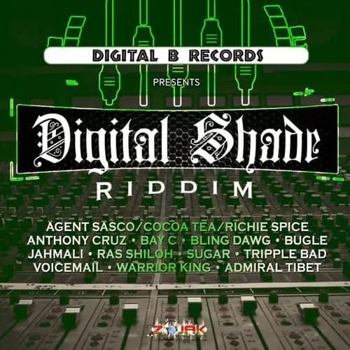 digital shade riddim - digital b records