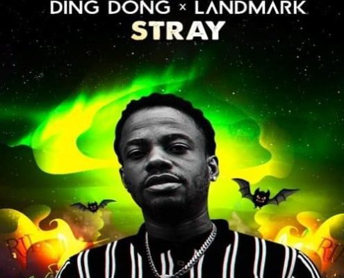 Ding Dong Stray