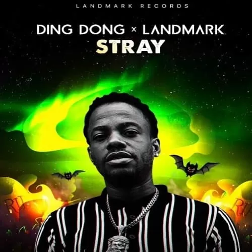 ding dong - stray