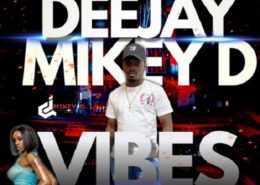 dj-mikey-d-vibes-vol7-mixtape