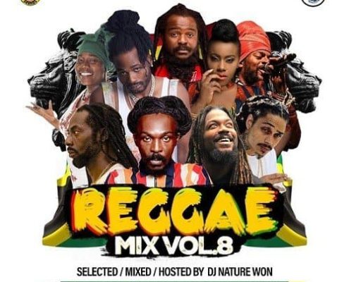 Dj Nature Won Reggae Mix Vol 8