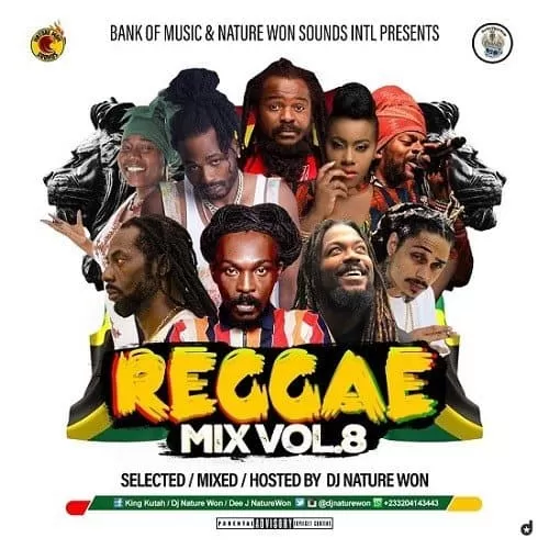dj nature won - reggae mix vol.8