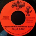 Doctor Bird Riddim – Massive B Productions / Black Chiney Records