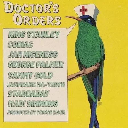 doctors orders riddim - prince riser