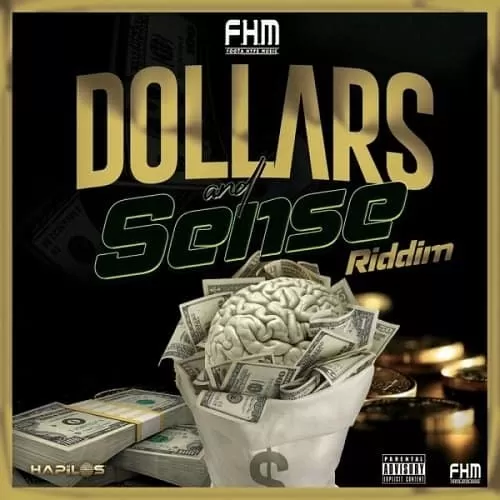 dollars and sense riddim  - foota hype music