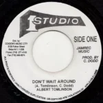 Dont Wait Around Riddim – Studio One Records