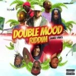 Double Mood Riddim – Dmd Vibes Music