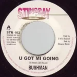 Dub Back Riddim – Stingray