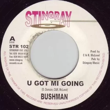 dub back riddim - stingray