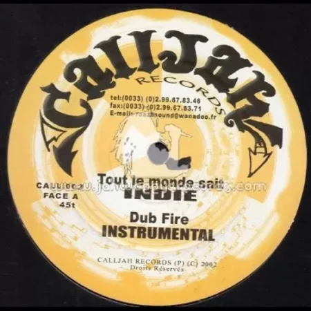 Dub Fire Riddim – Call Jah Records dub fire riddim - call jah records