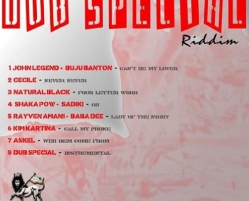 Dub Special Riddim