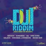 Dui Riddim – Cr203 Records