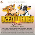 Dzemudanga Riddim – Cashlibs