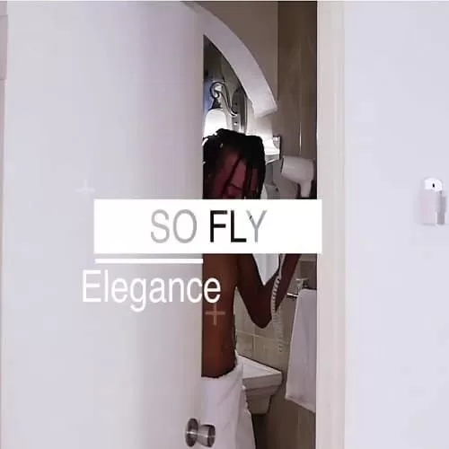 elegance - so fly