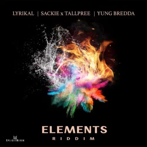 elements riddim - xplicit entertainment/monk music