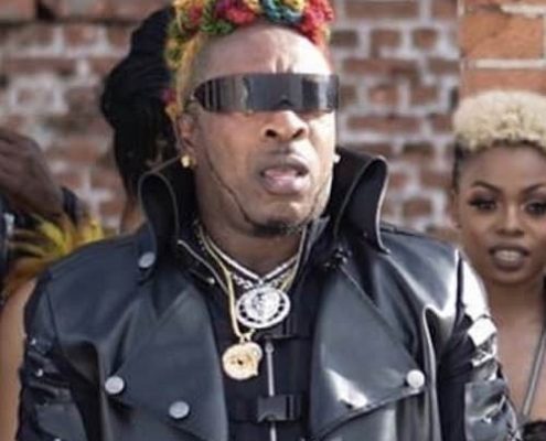 Elephant Man Gun Anthem