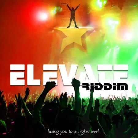 Elevate Riddim - Stingray Records