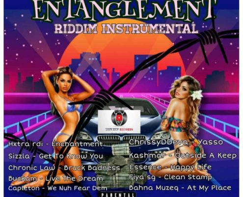 Entanglement Riddim Mix