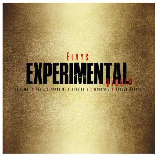 experimental riddim -  jvl production