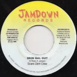 Explicit Riddim Aka Junk Yard Riddim – Jamdown Records