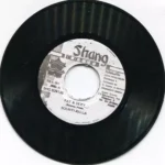 Fat And Sexy Riddim – Shang Muzik