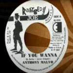 Father Jungle Rock Riddim – Raggedy Joe