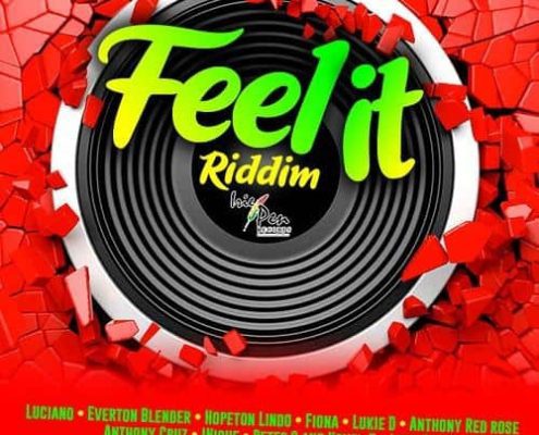 Feel It Riddim