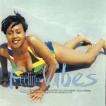Feelin De Vibes Riddim – Mafia And Fluxy Music