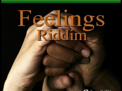 Feelings Riddim