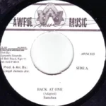 Fi Wi Rock Riddim (1998) – Awful Music