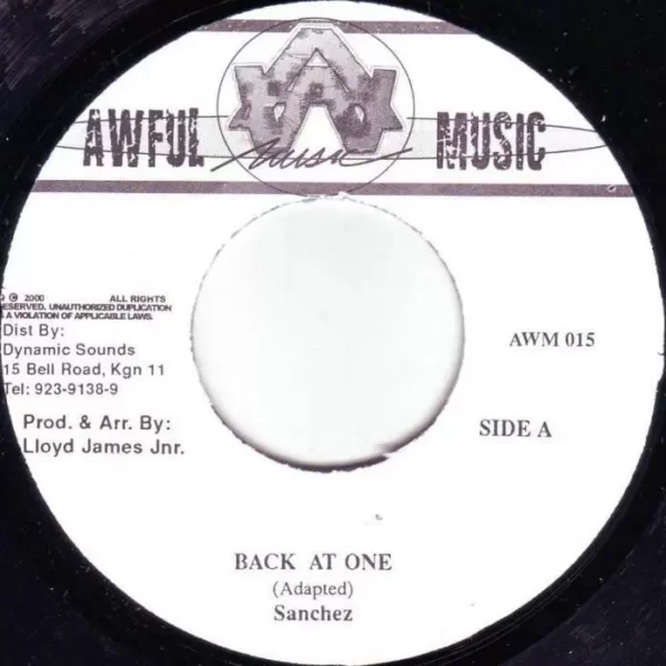 fi wi rock riddim - awful music