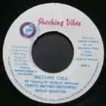 Fiber Glass Riddim (2001) – Shocking Vibes