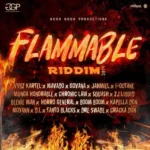 Flammable Riddim (2019) – Good Good Productions