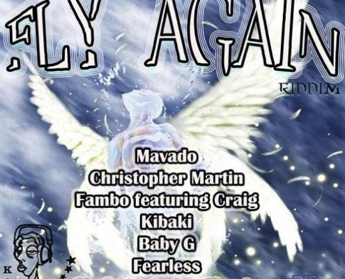 Fly Again Riddim